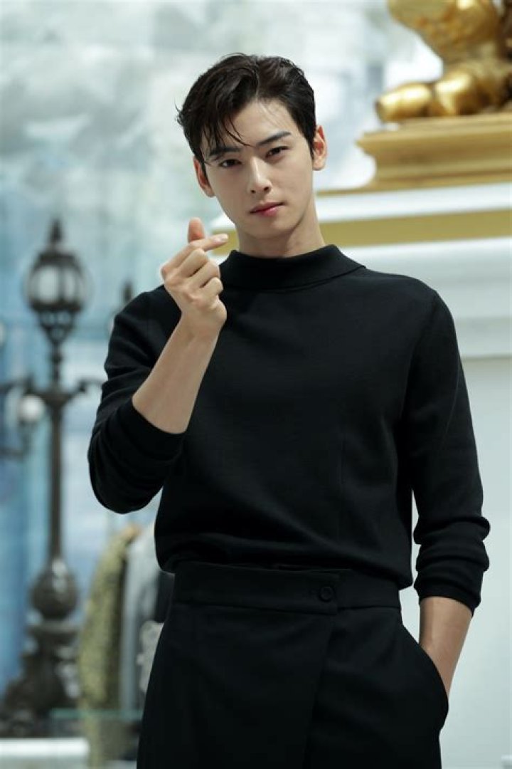 Cha Eunwoo Engagement: A Closer Look at the Star's Journey and Romantic Life